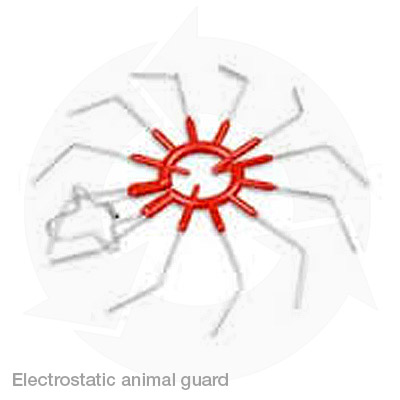 Electrostatic animal guard
